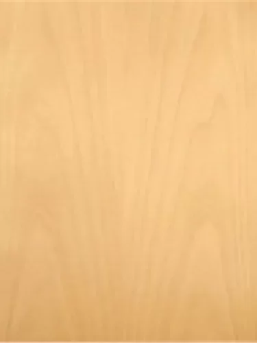 10006