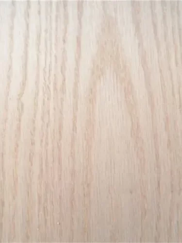 10013