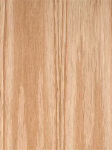 df35cbfe51.jpg.500x500